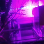 Download freak-on-a-leash OnlyFans videos and photos for free 

 profile picture