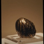 Download freke OnlyFans content for free 

 profile picture