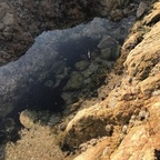 goddessemeraldx (GoddessEmerald) free OnlyFans Leaked Videos and Pictures 

 profile picture