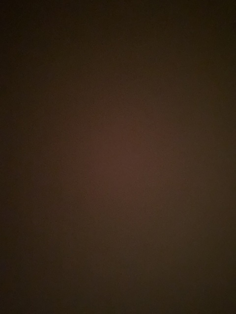 Header of hammerhead