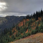 haydenwd (u235205396) OnlyFans Leaked Content 

 profile picture