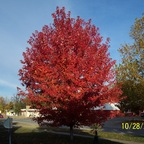 iaboy7635 (Iaboy7635) free OnlyFans Leaked Videos and Pictures [UPDATED] profile picture