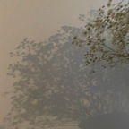 ienfelloryy (Ien) free Only Fans Leaked Content [NEW] profile picture