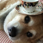 Download iinuu OnlyFans leaks for free 

 profile picture