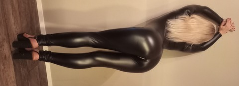 Header of ilovenorthstar