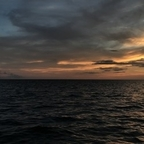 Onlyfans leaks itsabby 

 profile picture