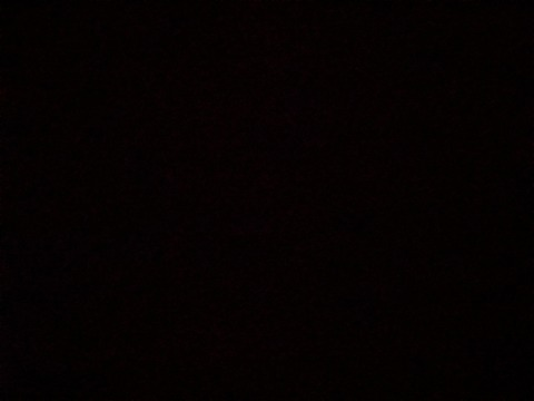 Header of jamaicanjay23