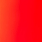 javiera OnlyFans Leaked 

 profile picture