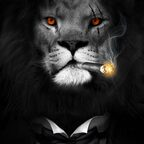 jbizzle3333 (Jbizzle3333) free OF Leaks [!NEW!] profile picture