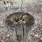 jege2 (JeGe) free Only Fans Leaked Content [FRESH] profile picture