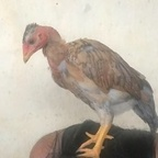 jessica2000 OnlyFans Leaked Photos and Videos 

 profile picture