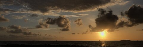 Header of joyychennn