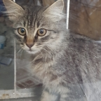 Free access to (kedicik) Leaks OnlyFans 

 profile picture