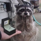 kenzieee OnlyFans Leaks 

 profile picture