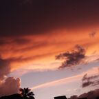 koral OnlyFans Leak 

 profile picture