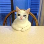 Download la-la OnlyFans content for free 

 profile picture