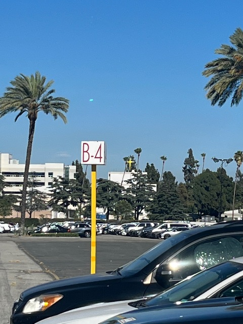 Header of lalalusciousxxx