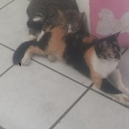 Onlyfans leaks lamichelle 

 profile picture