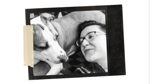 Header of leighsleashes