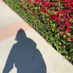 librababy (librababy) OnlyFans content 

 profile picture