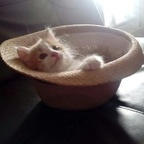 lightsshining OnlyFans Leak 

 profile picture