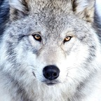 Isaa limonysal Leaks OnlyFans 

 profile picture