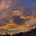 Free access to littleblondiex Leaks OnlyFans 

 profile picture