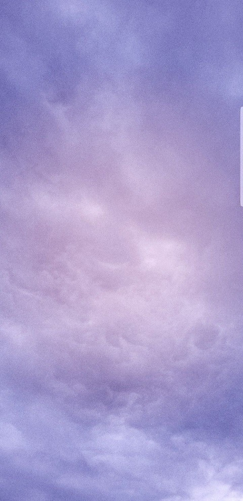 Header of lolabunnielewds