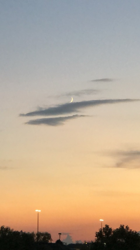 Header of lonelygirleliza