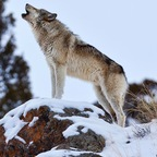 Free access to @love4love Leaks OnlyFans 

 profile picture