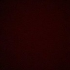 lumena OnlyFans Leak 

 profile picture