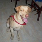 Onlyfans leak lunam 

 profile picture