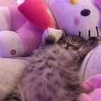 Onlyfans leaked luring 

 profile picture