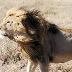 Onlyfans leaked lxon.her 

 profile picture