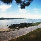 maltese (Maltese) OnlyFans Leaked Videos and Pictures 

 profile picture