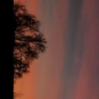 mamimilkerz311 OnlyFans Leaked Photos and Videos 

 profile picture