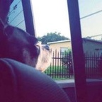 Mariana B @mari- Leak OnlyFans 

 profile picture