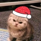 massimo (Massimo) free OnlyFans Leaked Content 

 profile picture