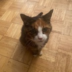 Onlyfans leak meowsexual 

 profile picture