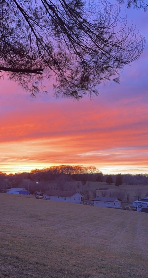 Header of michelleb1290