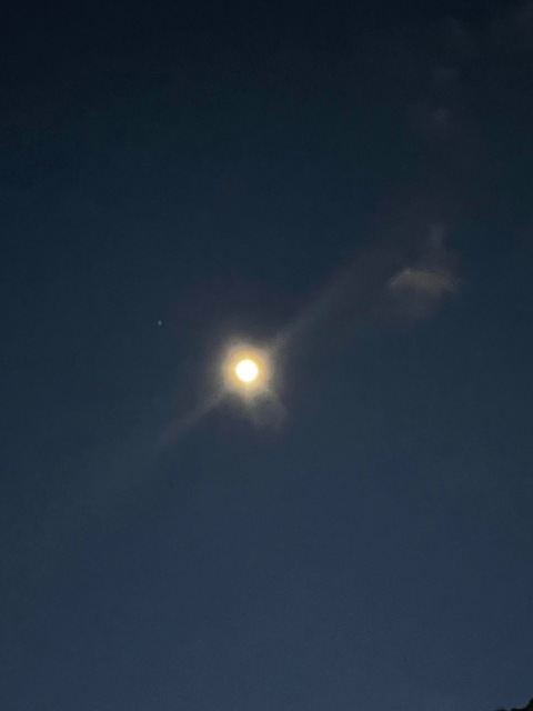 Header of mikaelaluna2022