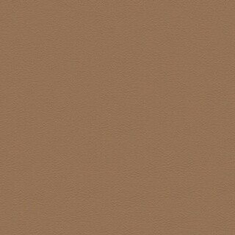 Header of missyblonde