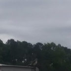 mlp__darkbolt (Ded) OnlyFans content 

 profile picture