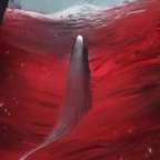 moidukdum OnlyFans Leaks 

 profile picture