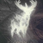 momma (Lil Momma) OnlyFans Leaks 

 profile picture