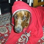 Download mongser OnlyFans videos and photos for free 

 profile picture