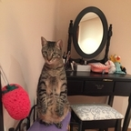 montse OnlyFans Leak 

 profile picture