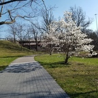 msc14607 OnlyFans Leak 

 profile picture