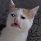 Onlyfans leaks mypartner 

 profile picture