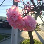 Free access to (@nahoomt) Leaked OnlyFans 

 profile picture